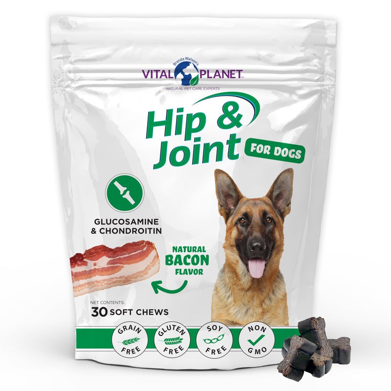 Vital Planet - Hip and Joint Soft Chews for Dogs, with Glucosamine, MSM, and Collagen from Green-Lipped Mussel - 30 Bacon Flavored Soft Chews - Image 1